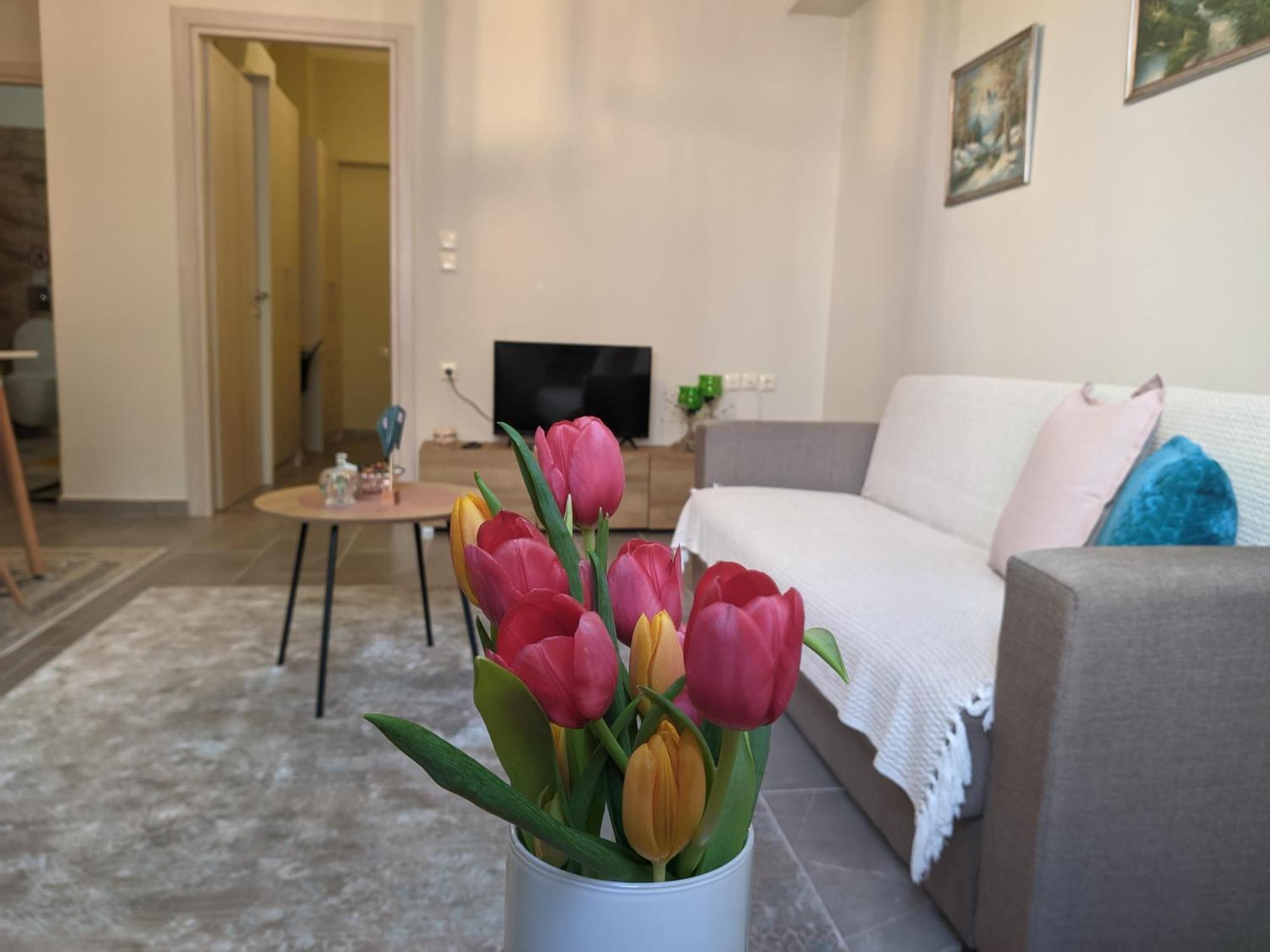 Aristo Central Apartments Ioannina Ngoại thất bức ảnh
