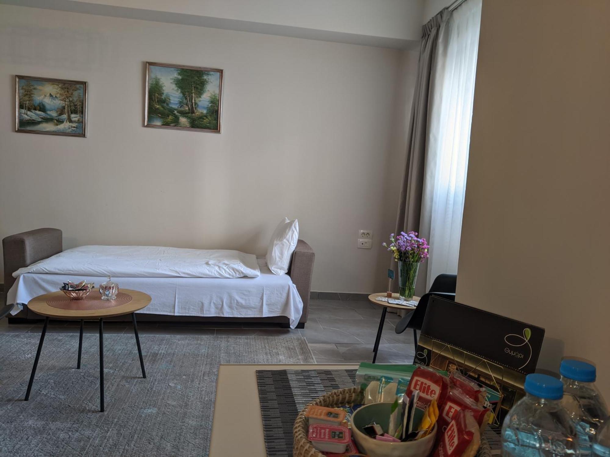 Aristo Central Apartments Ioannina Ngoại thất bức ảnh