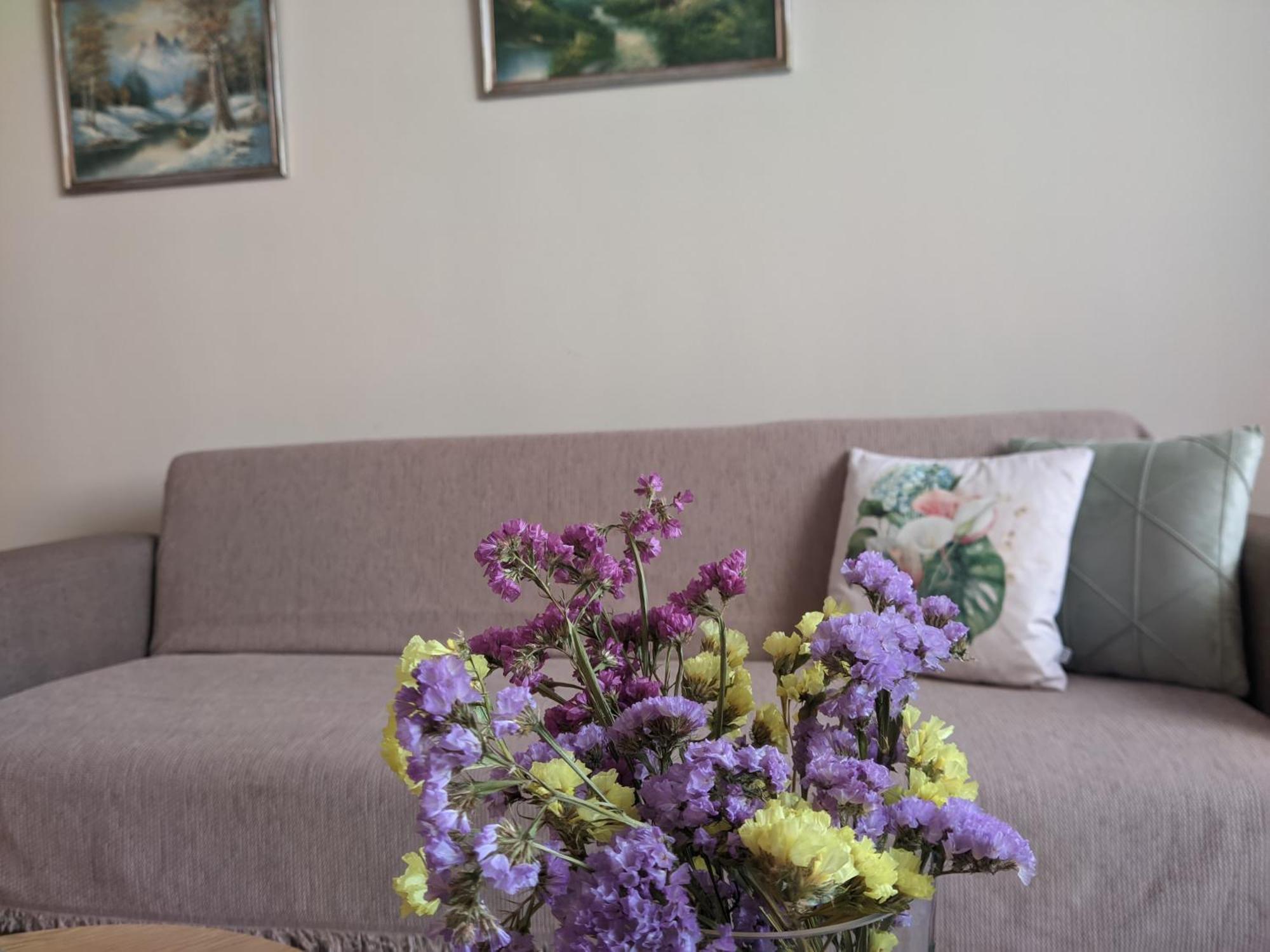 Aristo Central Apartments Ioannina Ngoại thất bức ảnh